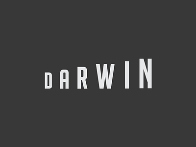 Darwin typo logo branding darwin design lettering logo typo typography vector