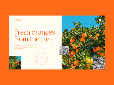 Orange shop concept design figma fruit landingpage mandarin minimalism orange shop ui ux web design website