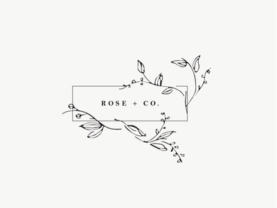 Rose + Co. Logo art branding design icon illustration illustrator logo minimal typography vector