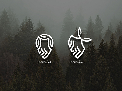 Berry logo concept background branding design graphic design illustration illustrator logo ui vector