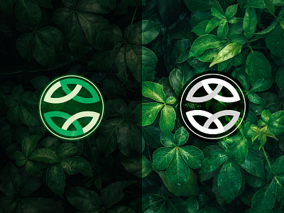 Symmetrical logo design for a new client branding graphic design illustration illustrator logo vector
