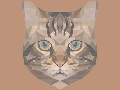 Chichin art cat design geometric geometry illustrator low poly low poly lowpoly lowpolyart vector