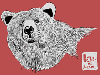 Bears are awesome awesome baloo bear bears debut hand drawn illustration nature teddy