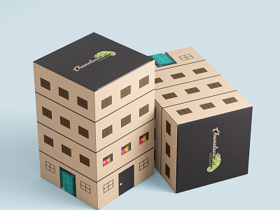 Box Packaging Design