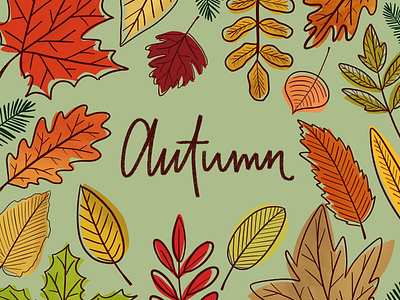 Autumn autumn calligraphy illustraion lettering procreate
