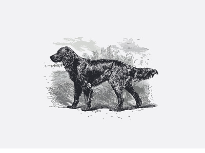 Dogland logo - illustration branding dog dog illustration illustration logo