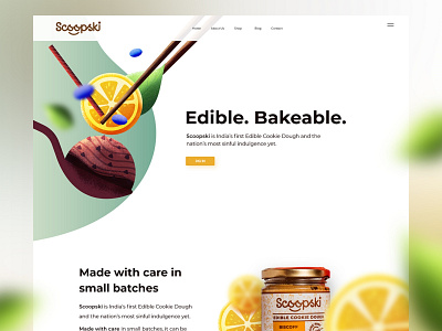 Home page design for Scoopski web design