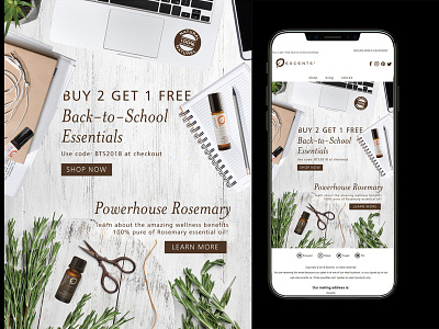 Escents Email Newsletter Design
