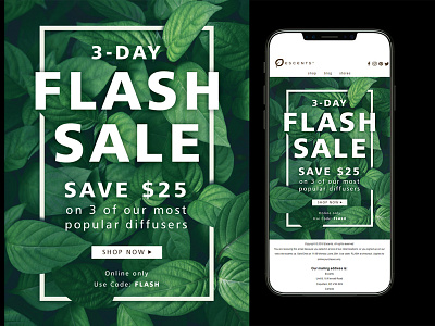 Escents Flash Sale Email design digital email campaign graphic design mailchimp retail typography web