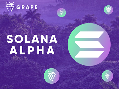 $GRAPE - Youtube Thumbnail Design branding design illustration logo minimal solana
