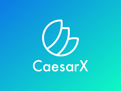 LOGO DESIGN - CaesarX