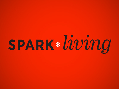 spark*living type treatment brand chicago gifts identity living logo spark