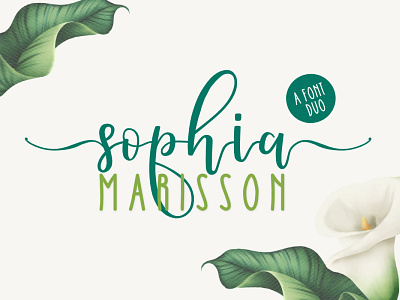 Sophia Marisson Font Duo branding design font font design fonthandwriting handlattering logo logofont logolettering logotype script font script lettering typography