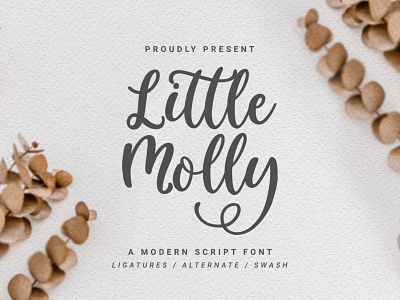 Little Molly Rounded Script Font branding card font awesome fonthandwriting greeting greeting card greetingcard letteringfont rounded rounded font script script lettering scriptfont typography wedding wedding card wedding invitation wedding invite