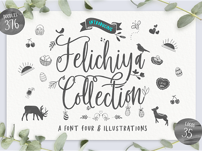 Felichiya Collection | A Font Four & Illustrations