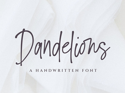 Dandelions Font branding design font design font for logos fonthandwriting handlattering illustration letteringfont logo modern font script lettering typography