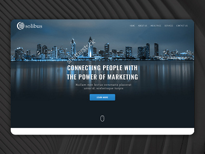 Solibus - Homepage Concept