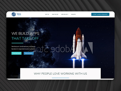 Tellus Software -  Homepage Design