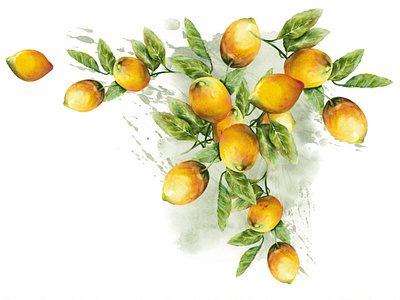 Watercolor Illustration of Lemons