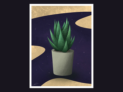 aloe plant illustration art drawing illustration painting plant procreate procreate art