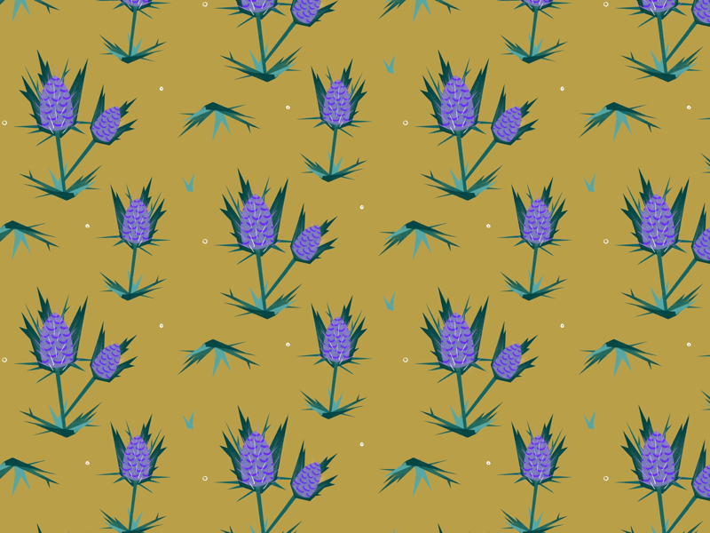 Thistle Pattern design surface thorns leaves flower plants plant weed color vintage illustration botanical pattern thistle