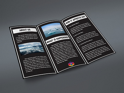 The Arctic Preservation Project Brochure Inside Fold brochure design brochure mockup design illustration logo vector