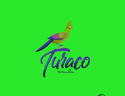 TURACO adobe illustrator bird logo birds branding discover illustration illustrator logo logodesign nature portnizam turaco vector