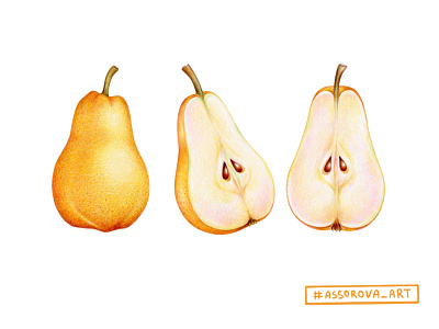 Juicy pears banner botanical botanical illustration branding design drawing food food illustration illustration illustrator