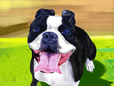 Pet portrait digital art digital paint pet pet portrait