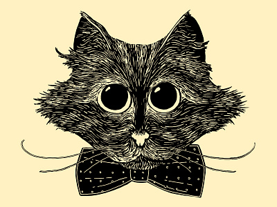 Bowtie Cat