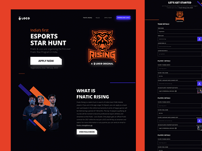 Fnatic Landing Page