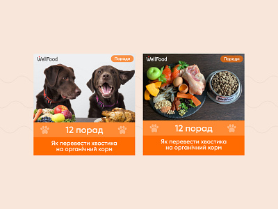Wellfood ad creatives advertisment banner creative dog food instagram instagram banner orange pet pets