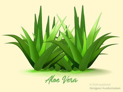 Aloe Vera aloe aloe vera asaduixd digital art illustration vector vera