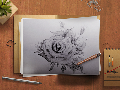 Realistic Rose Pencil Sketch design digital digital art digital painting draw drawingart dribbble flowers flowers illustration illustration mockup psd pencil art pencil drawing pencil sketch realistic realistic drawing rose rose gold sketches vector