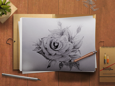 Realistic Rose Pencil Sketch