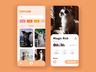 Of pet app cats desgin dog icon ios orange pet
