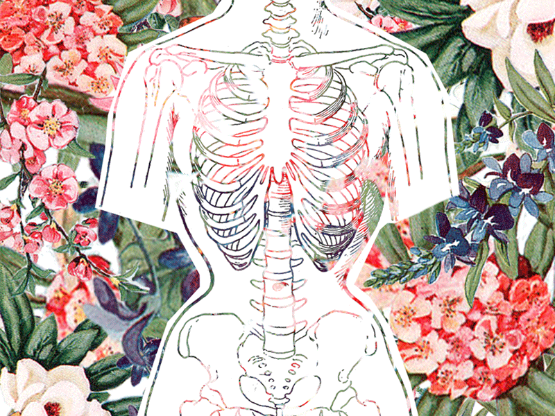 Corset Collage 100 days anatomical collage design challenge floral flowers illustration skeleton vintage