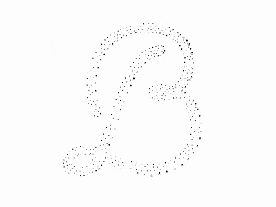 Hand Poke Paper B b fiber fundraiser lettering light linework paper pin script typography white on white