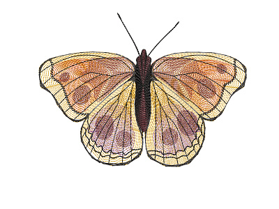 Yellow butterfly - Embroidery abstract adobe illustrator butterfly design embroidery embroidery design embroidery digitizer embroidery digitizing embroidery digitizing company insect nature