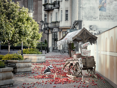 apples apple photography warsinski