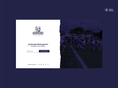 Oszesnos website agency american football americna football team americna football team bear design development football kids art school website team ux web website