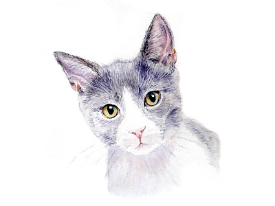 Inquisitive Cat Watercolour animal cat watercolor watercolor art watercolor painting watercolour