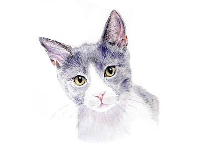 Inquisitive Cat Watercolour