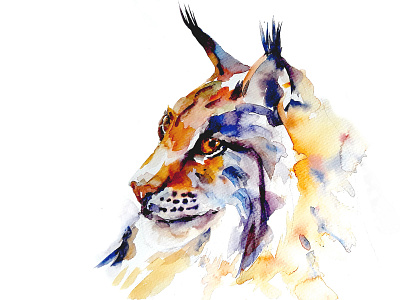 Watercolour Lynx animal cat watercolor watercolour watercolour painting