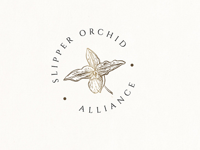 Slipper Orchid Alliance Logo Design branding d design digital painting digitalart graphic design illustration logo