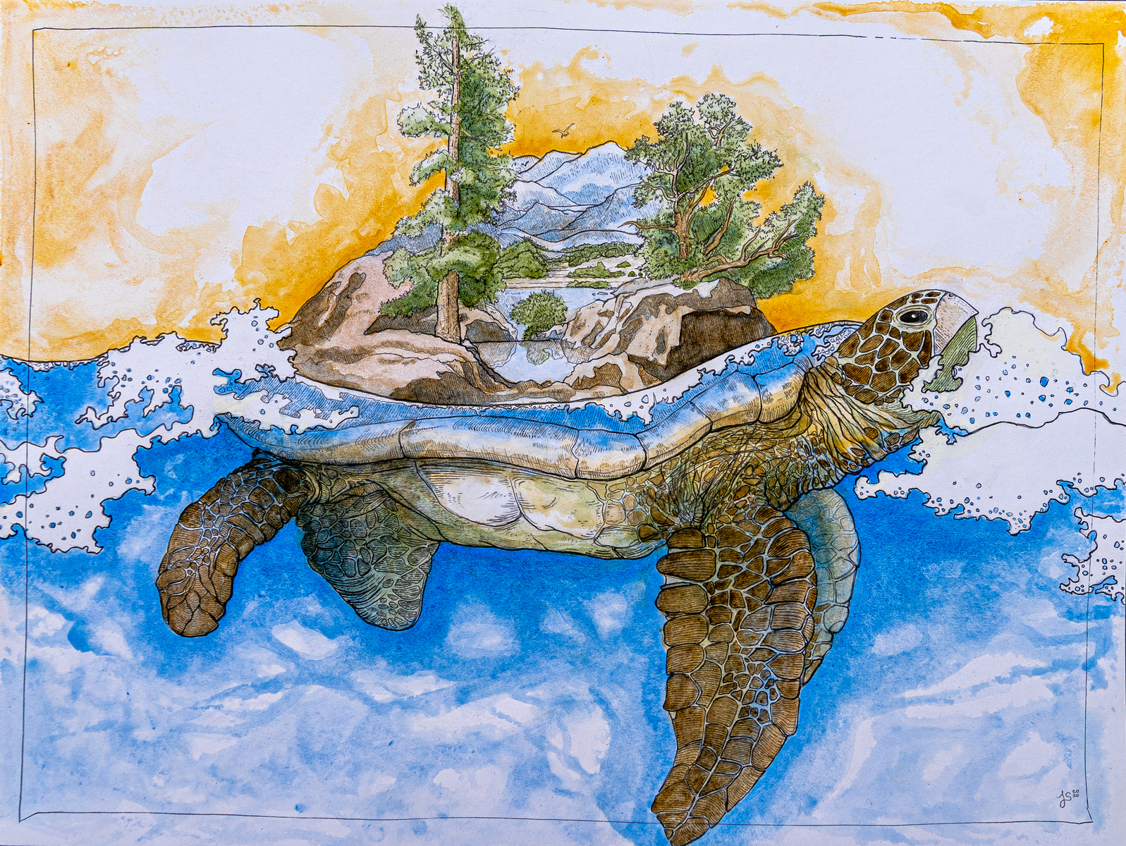 turtle-island-by-james-s-sisti-on-dribbble