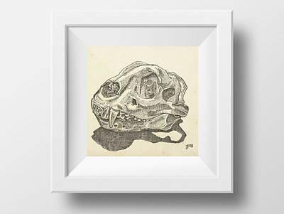 Study of Jaguar Skull illustration ink nature