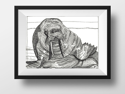 Walrus (Dad) commission illustration ink inktober nature