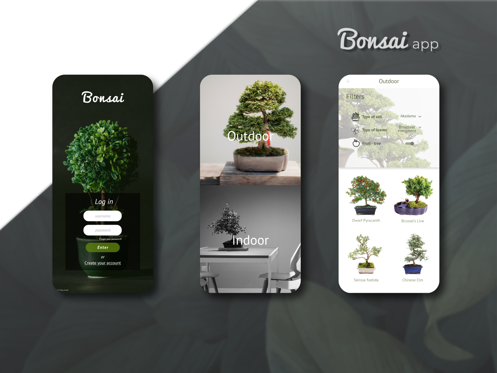 Bonsai mobile app concept by Sol Santibañez on Dribbble
