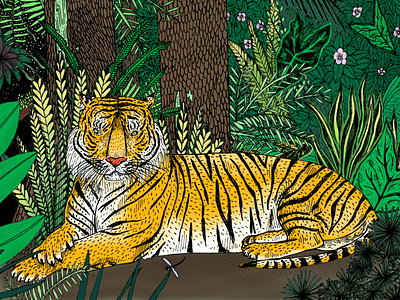 Tiger comic design drawing editorial illustration humor illustration illustrator micron sketchbook tiger